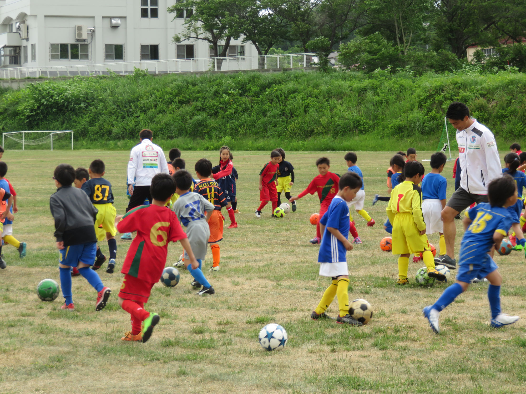 第6回弘前lc杯キッズサッカーフェスティバル 6 15 16 弘前ライオンズクラブ 公式ホームページ 332 A地区 2r 1z